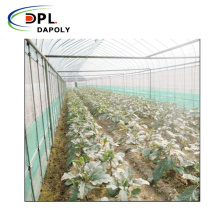 Well-Stocked Agricultural Use Green House Anti Insect Net Waterproof Net for Agriculture